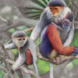 Nature APK