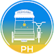Pedicash APK - A Secure Cash App